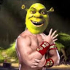 Meet your Posher, Moana